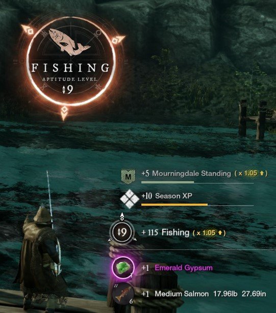 newworldfishingaptitude.jpg