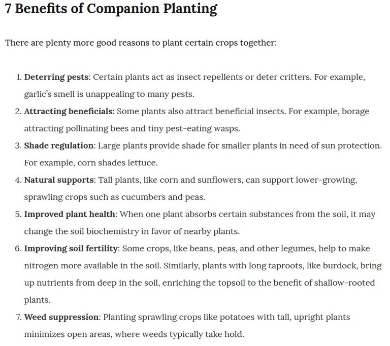 companionplanting2.jpg