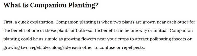 companionplanting1.jpg