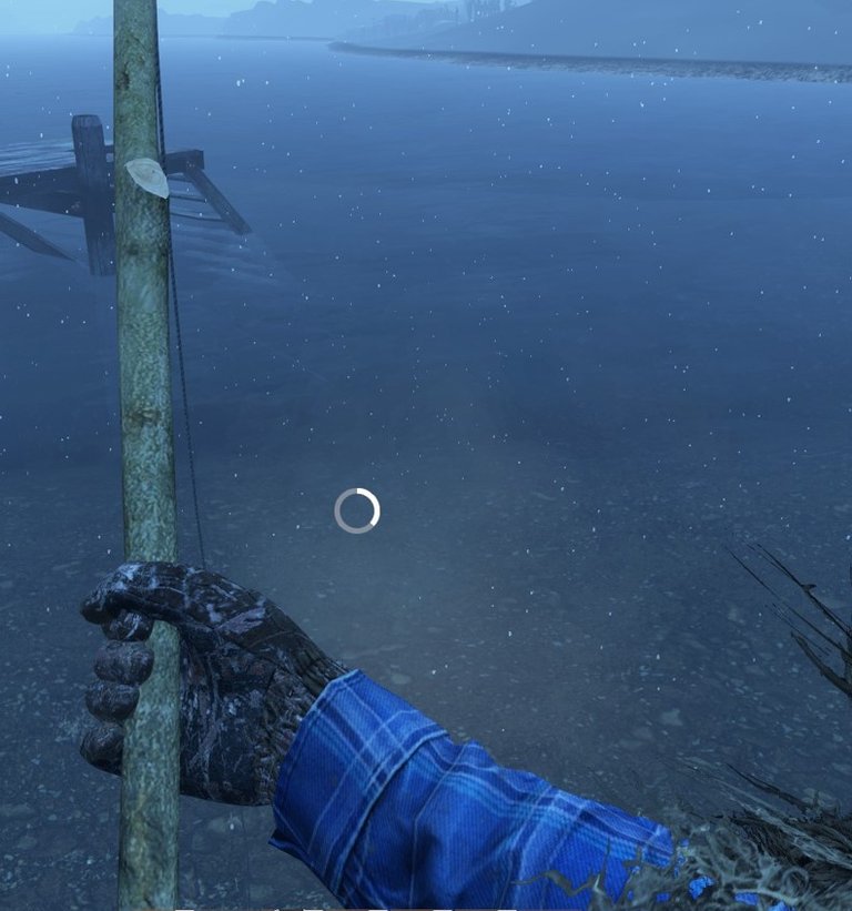 dayzfishing2.jpg