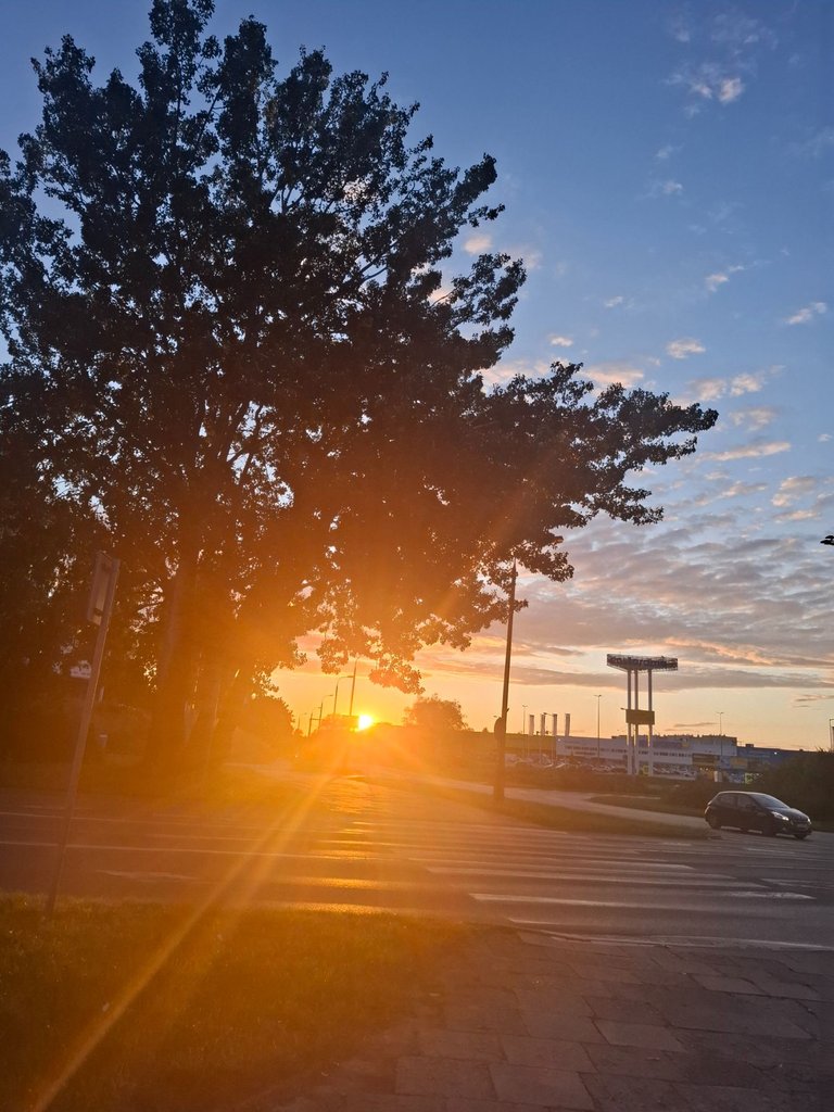20250729_203841.jpg