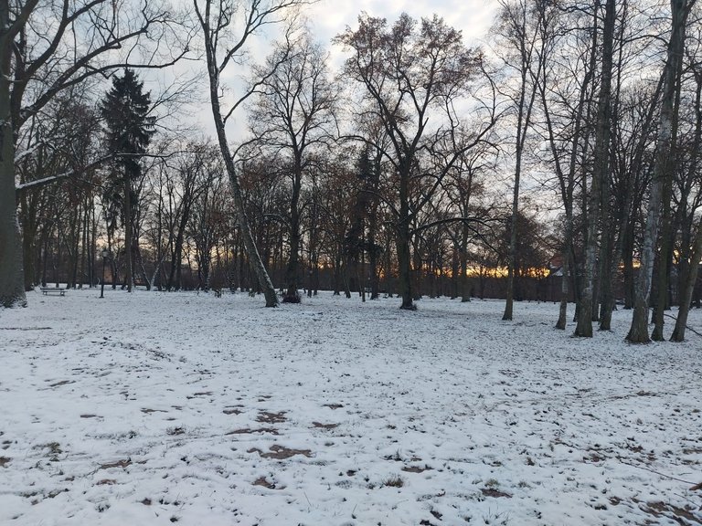 20250113_154156.jpg