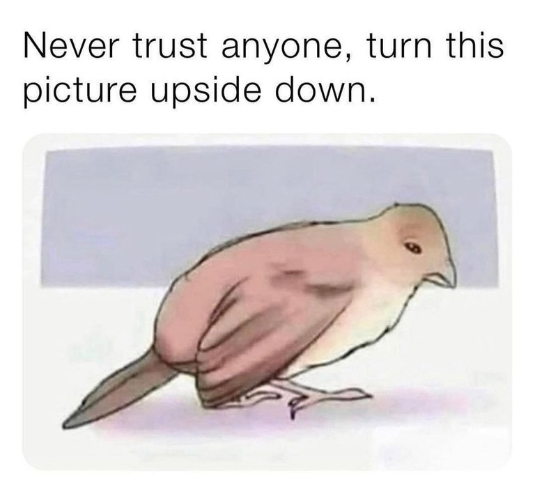 274565566_5191262660960551_5227756657265786340_n.jpg