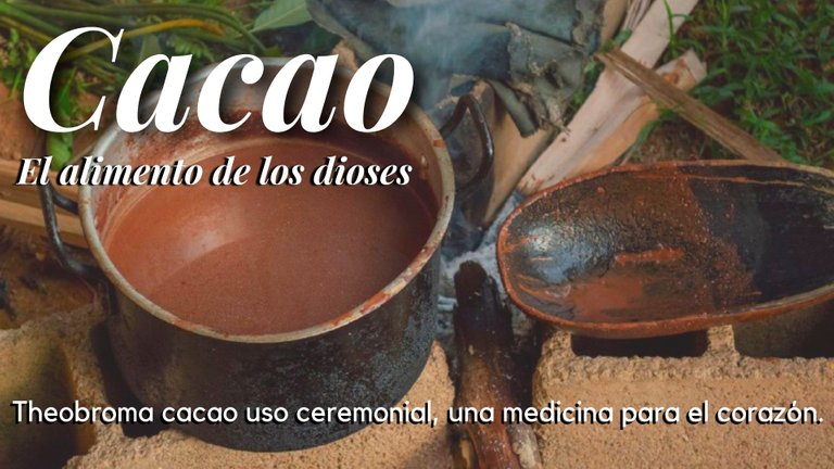 Cacao (1).jpg