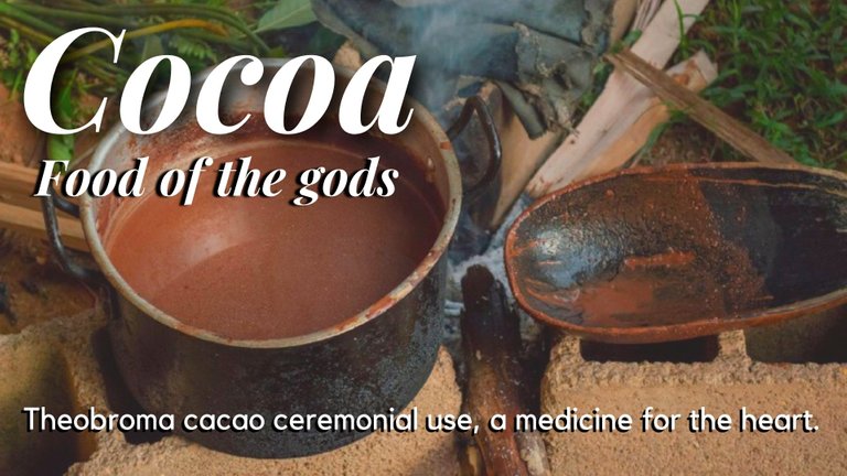 Cacao.jpg