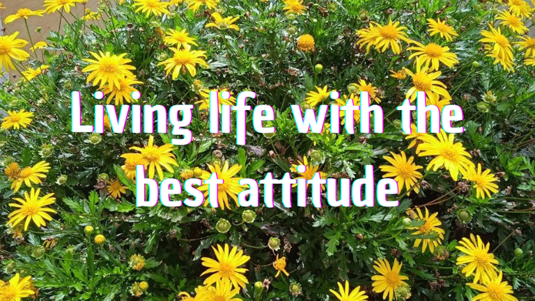 Vivir la vida con la mejor actitud.png