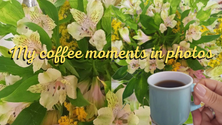 My coffee moments in photos.png