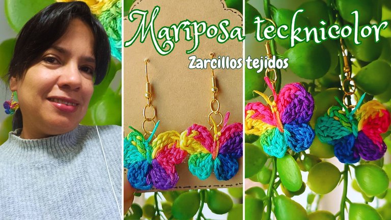 Mariposa tecknicolor.jpg