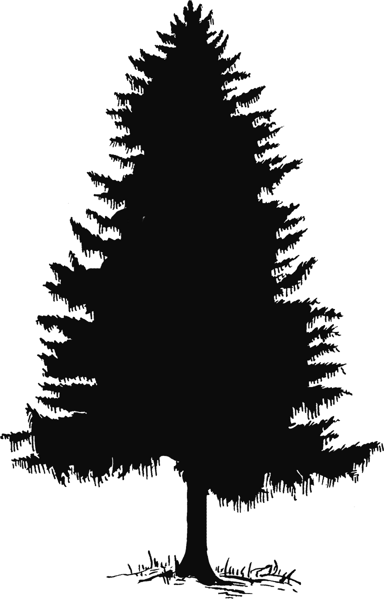 pine-tree-tree-silhouette-and-clip-art-on-2-pine-tree-silhouette-1012929.png