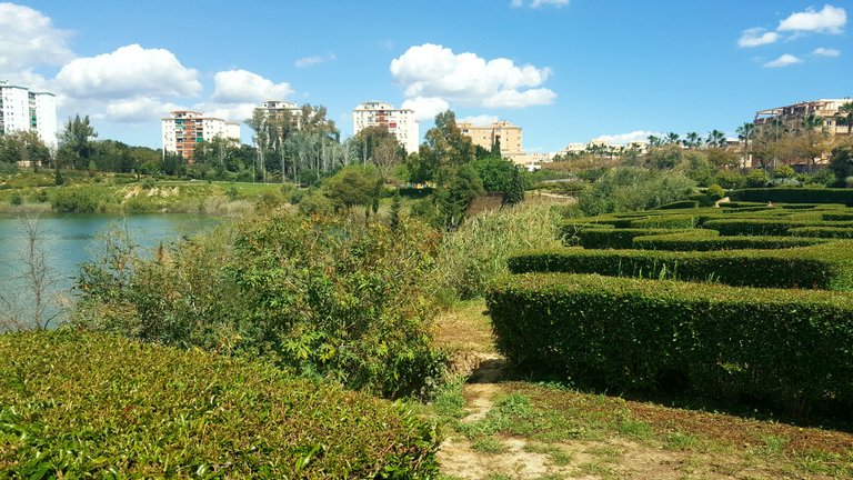 20250416_155041.jpg