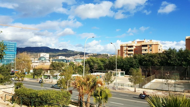 20230117_145458.jpg