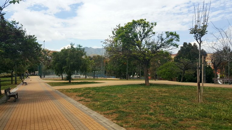 20250507_154147.jpg