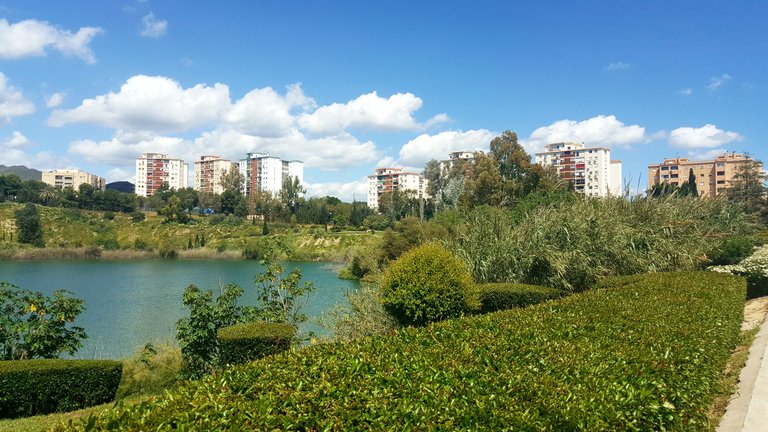 20250416_151935.jpg