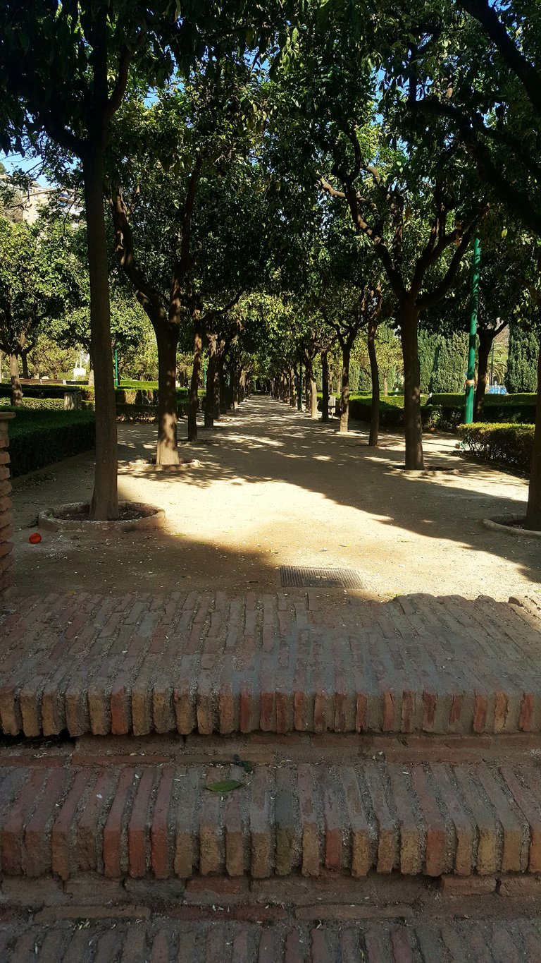 20230312_160513.jpg
