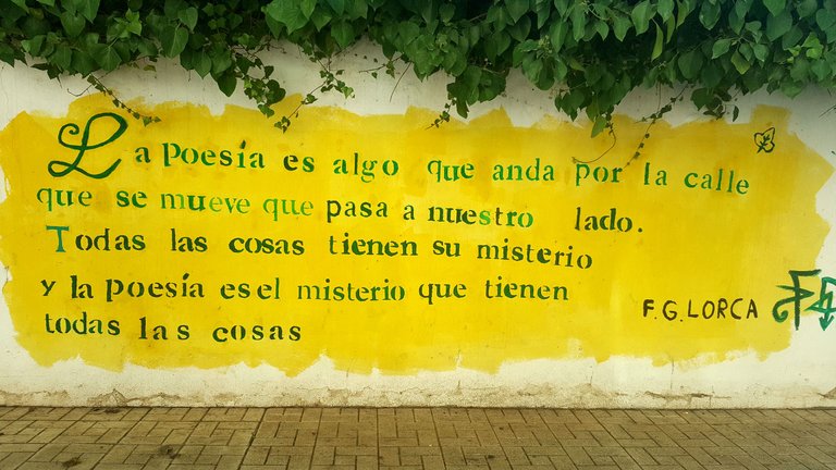 20241021_171330.jpg
