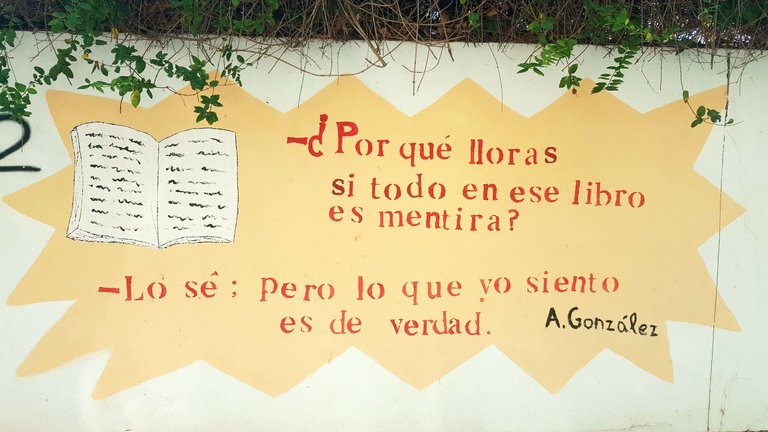 20241021_171400.jpg