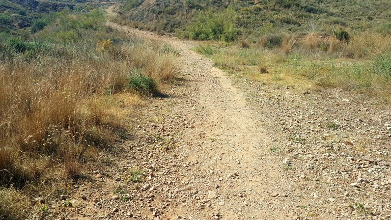 20230426_171802.jpg