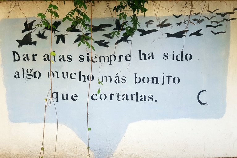 20241021_171505.jpg