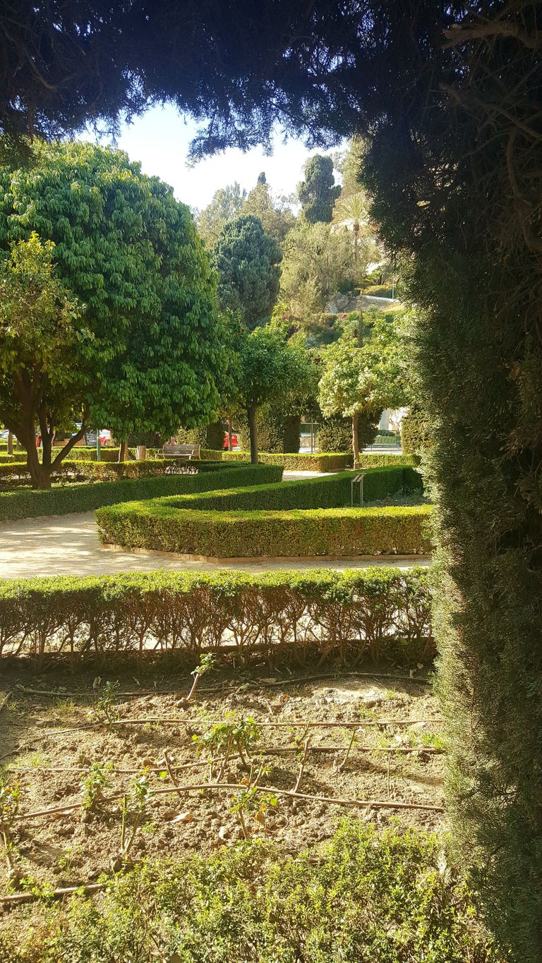 20230312_160853.jpg