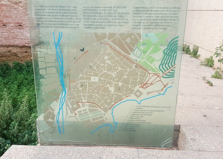 20250807_181925.jpg