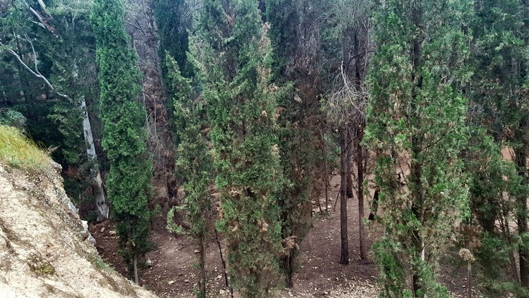 20250430_163645.jpg