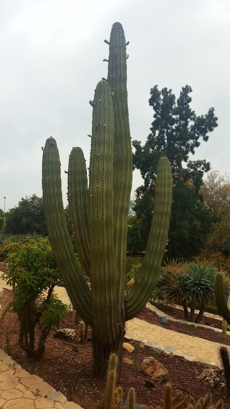 20250610_163530.jpg