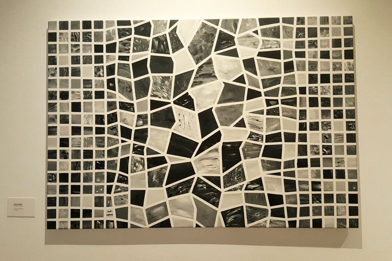 20250408_190841.jpg