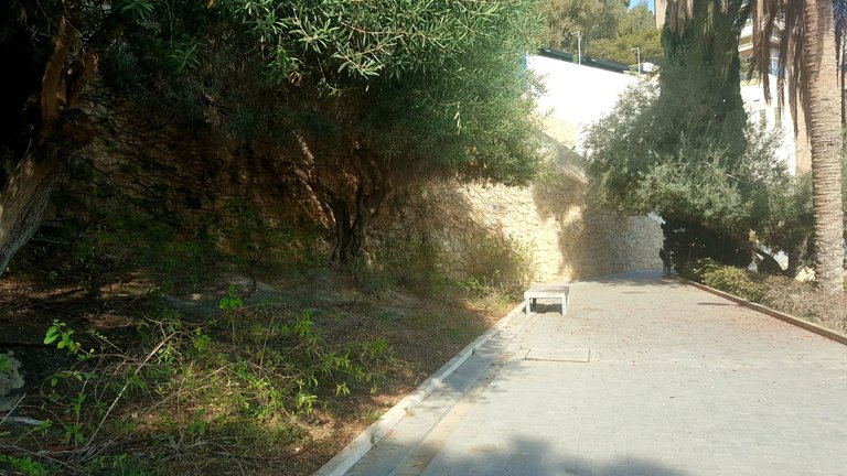 20231004_165400.jpg