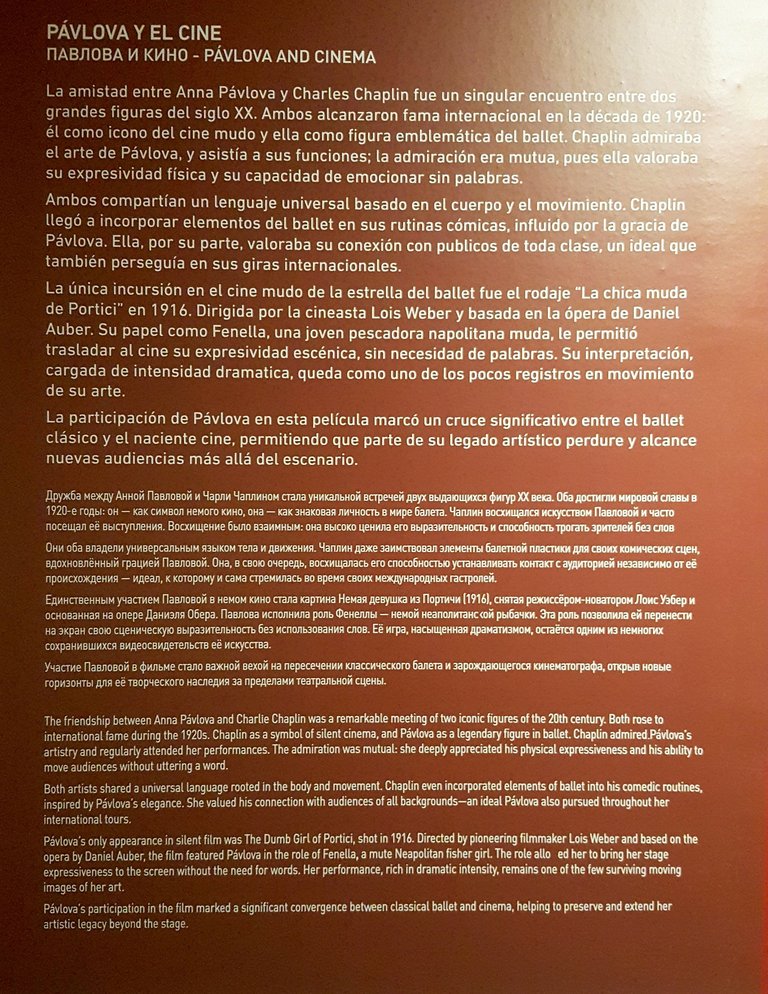 20250622_172848.jpg