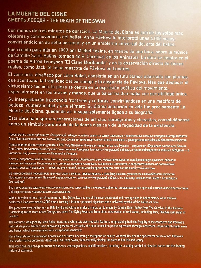 20250622_172941.jpg