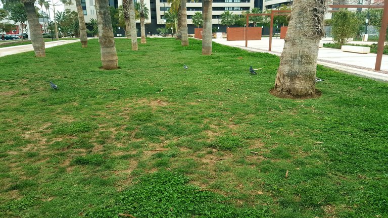 20250316_154841.jpg