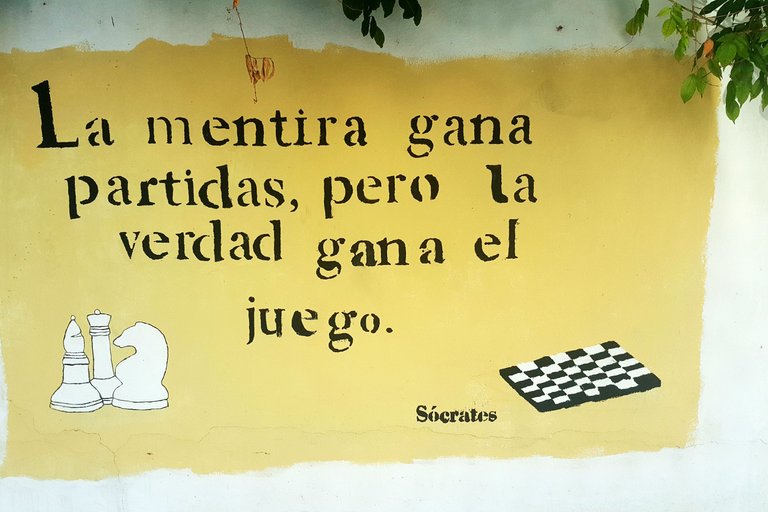 20241021_171515.jpg