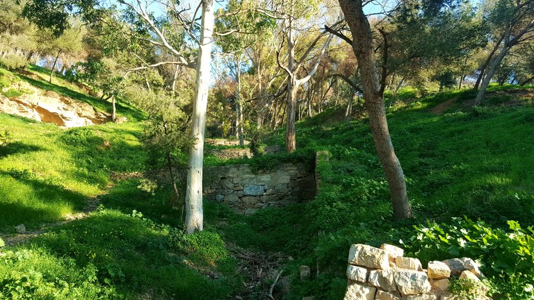 20250115_165213.jpg