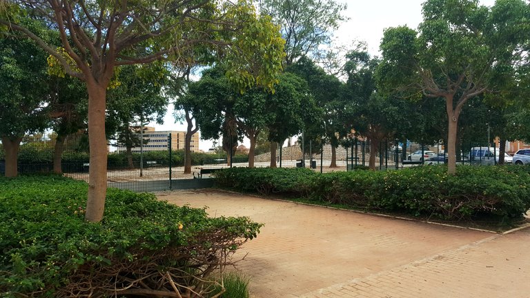20230117_145731.jpg