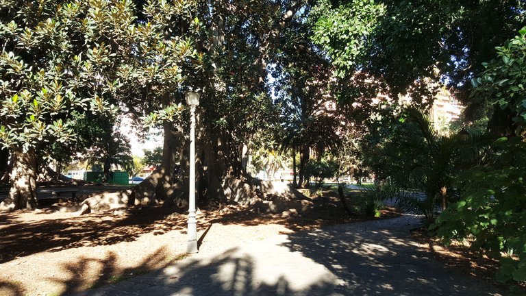 20230203_152316.jpg
