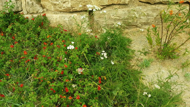 20250610_164110.jpg