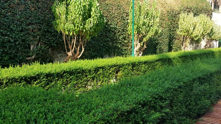 20231004_165950.jpg