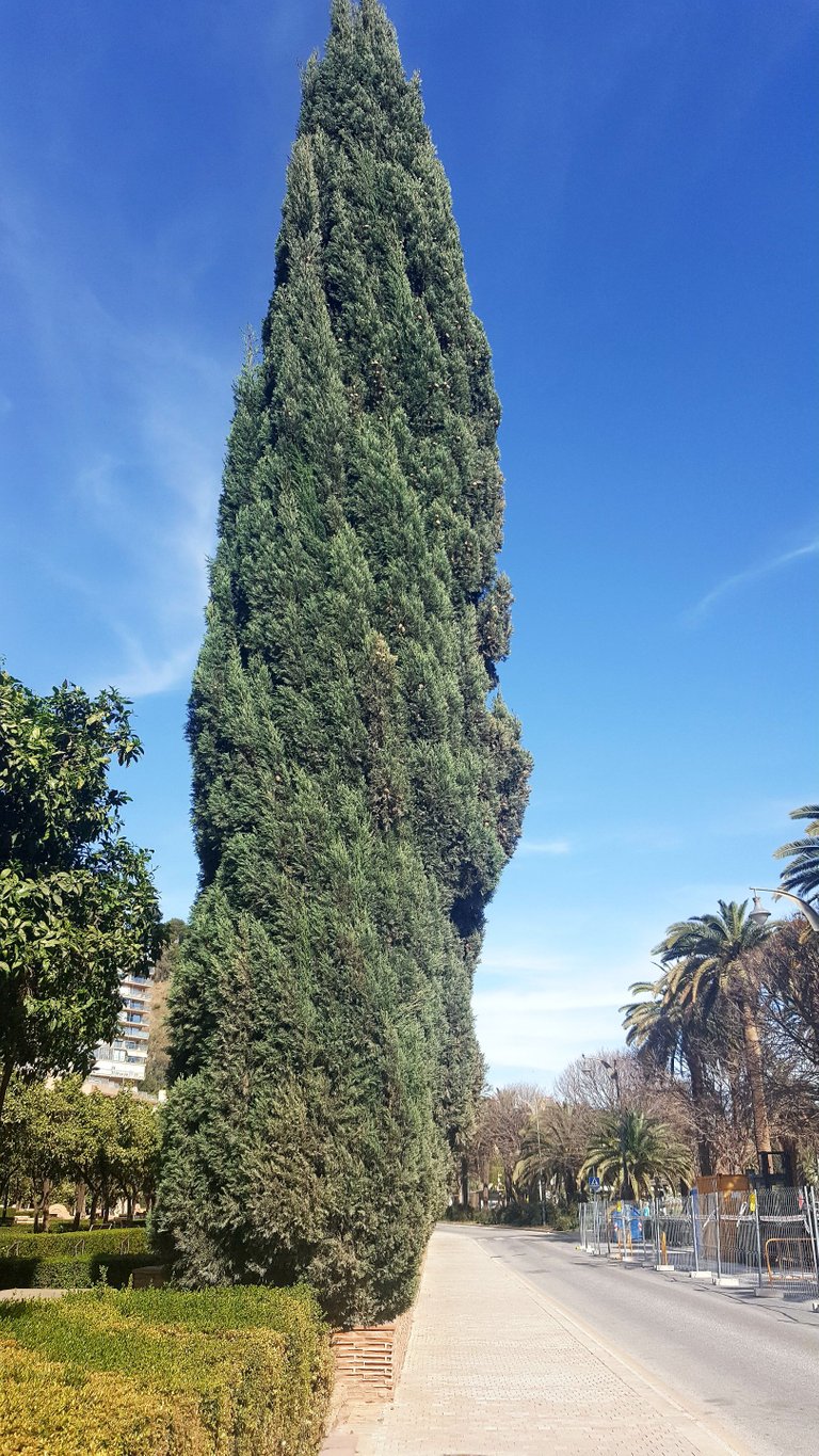 20230312_160544.jpg