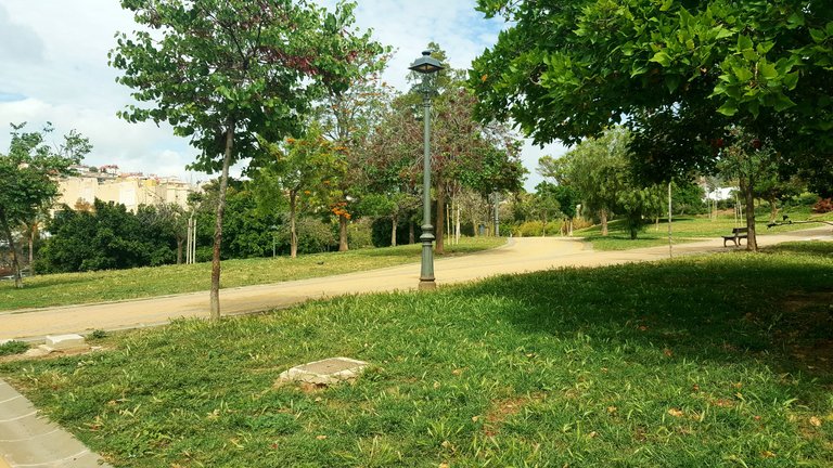 20250507_165152.jpg