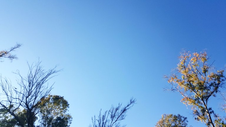20250115_164434.jpg