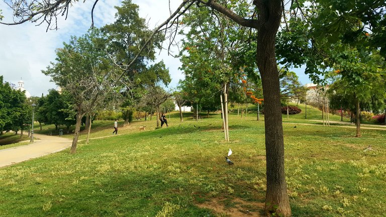 20250507_165040.jpg