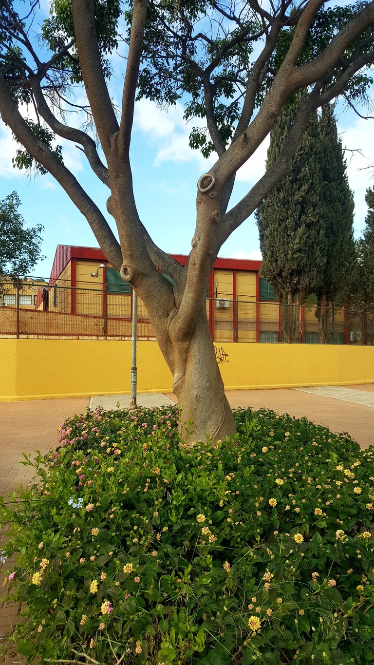 20230117_151732.jpg
