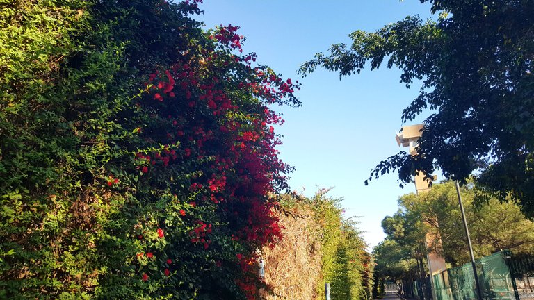 20240202_162122.jpg