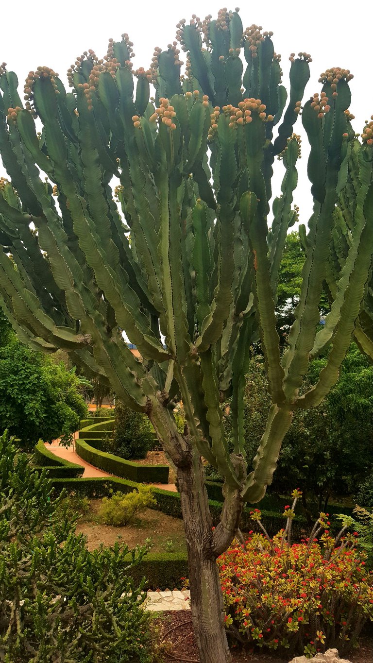 20250610_163902.jpg