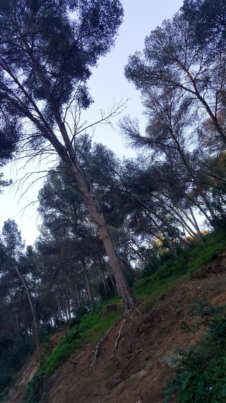 20250115_170221.jpg