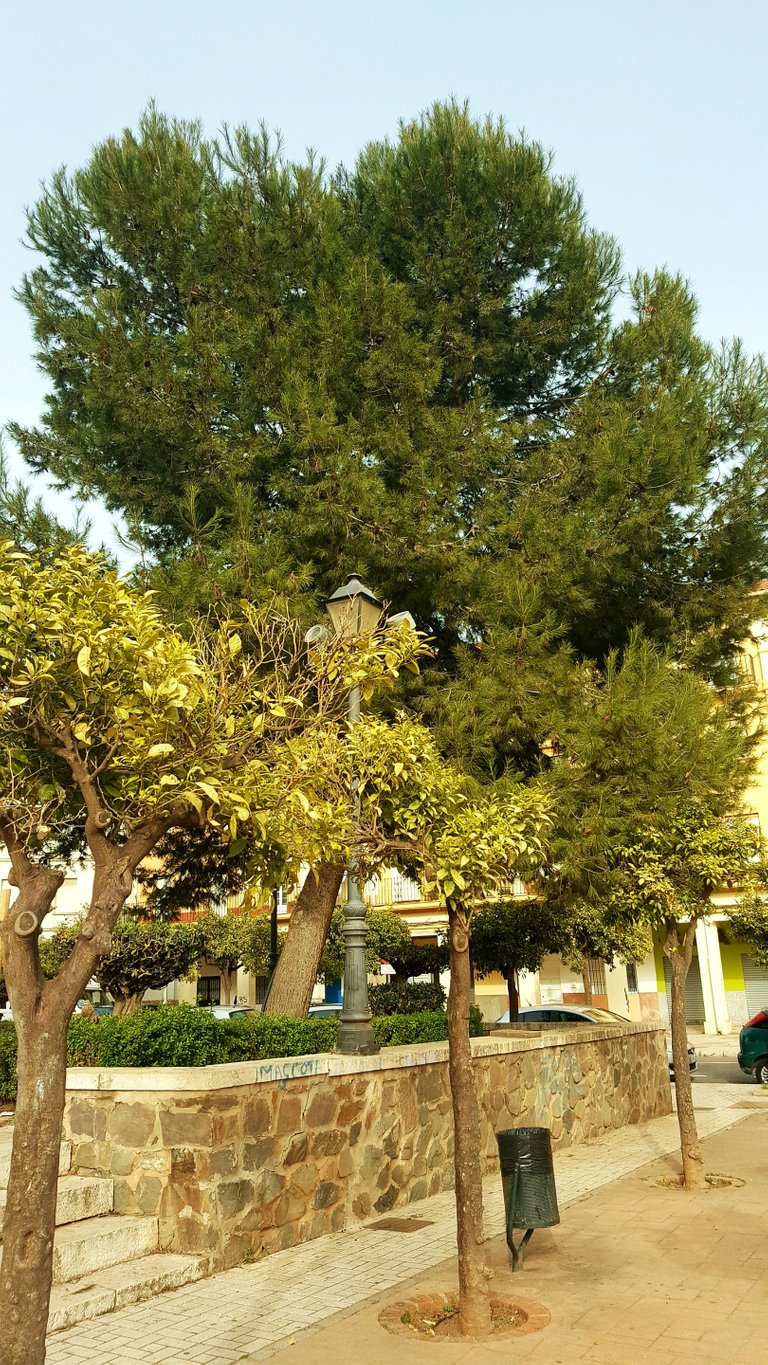 20230219_163954.jpg