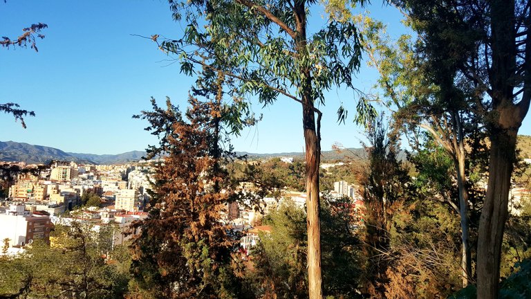 20250115_165503.jpg