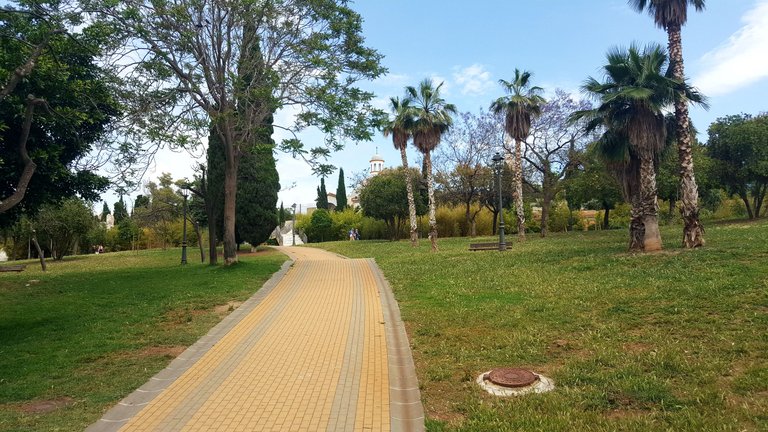 20250507_152128.jpg
