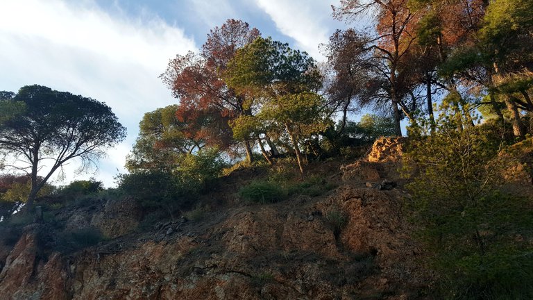 20241112_171156.jpg