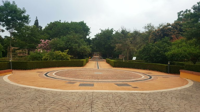 20250610_162941.jpg
